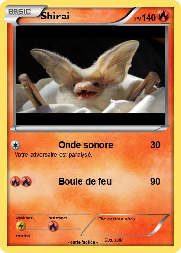 Pokemon Shirai
