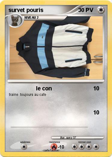 Pokemon survet pouris