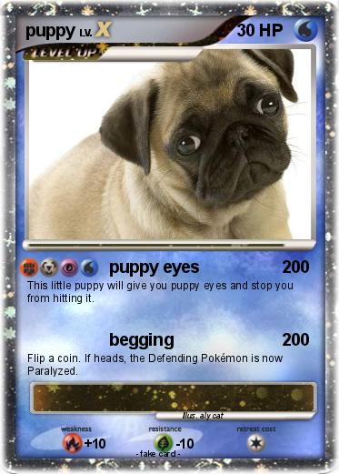 Pokemon puppy