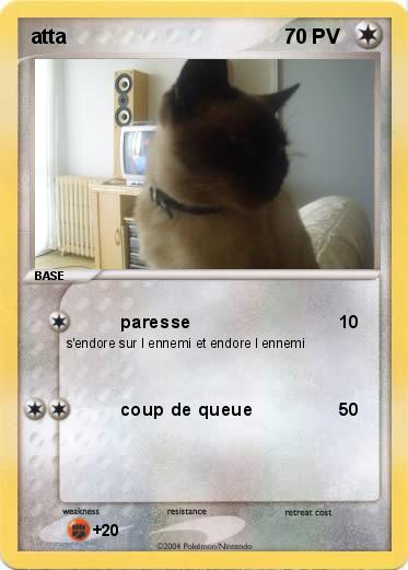 Pokemon atta
