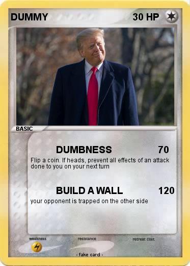 Pokemon DUMMY