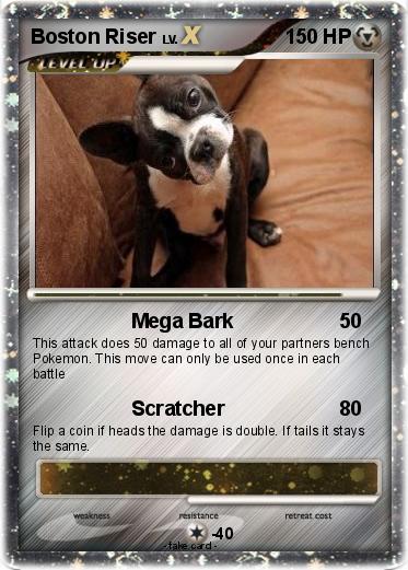 Pokemon Boston Riser