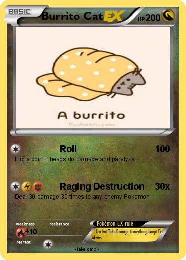 Pokemon Burrito Cat