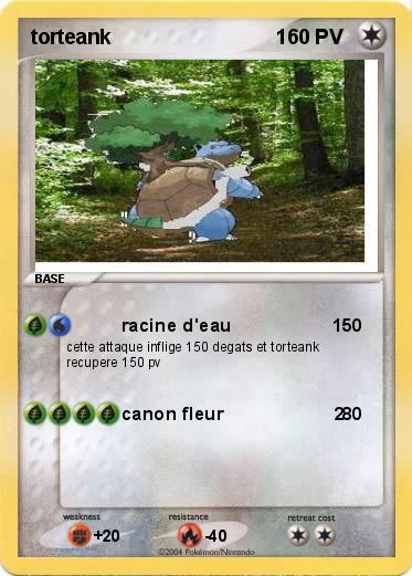 Pokemon torteank                             1    