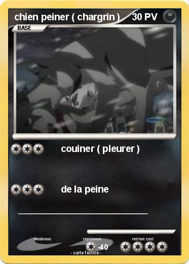 Pokemon chien peiner ( chargrin )