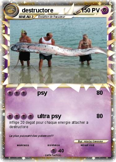 Pokemon destructore