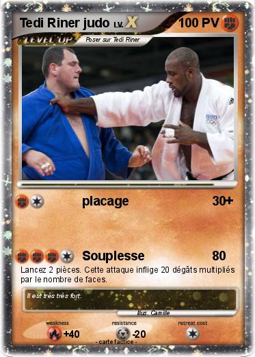 Pokemon Tedi Riner judo