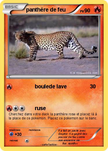 Pokemon panthère de feu