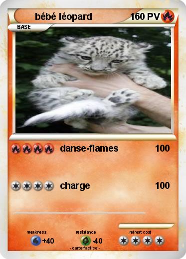 Pokemon bébé léopard