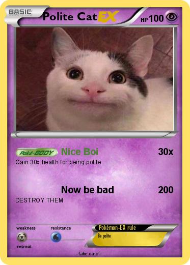 Pokemon Polite Cat
