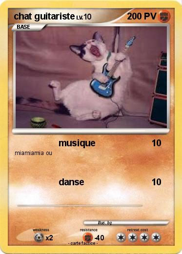 Pokemon chat guitariste