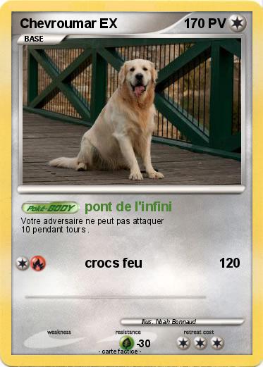 Pokemon Chevroumar EX