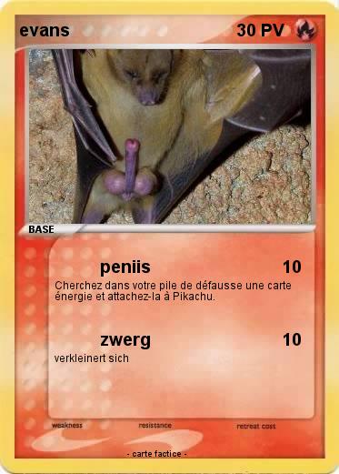 Pokemon evans