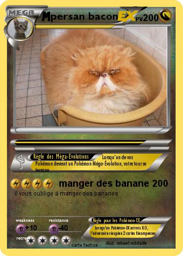 Pokemon persan bacon