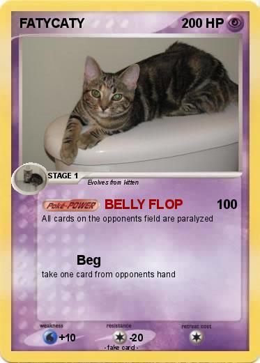 Pokemon FATYCATY