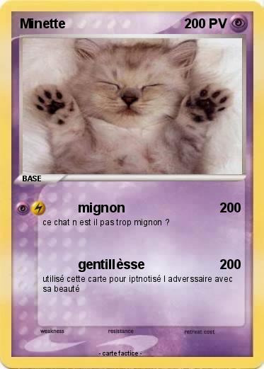 Pokemon Minette