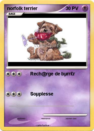Pokemon norfolk terrier