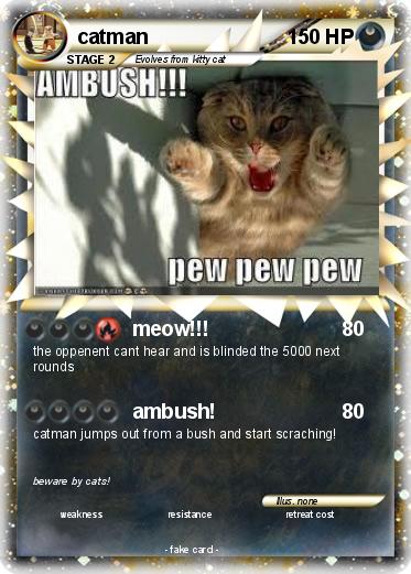 Pokemon catman