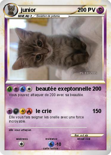 Pokemon junior