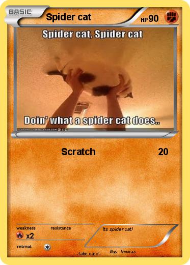Pokemon Spider cat