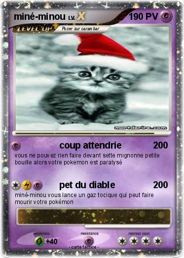 Pokemon miné-minou