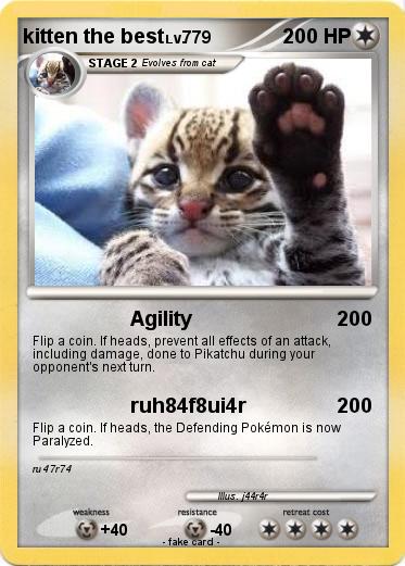 Pokemon kitten the best