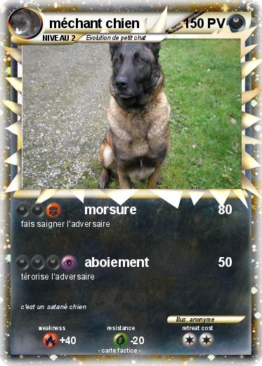 Pokemon méchant chien