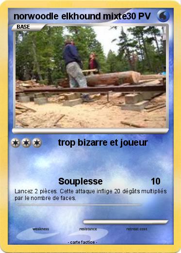Pokemon norwoodle elkhound mixte