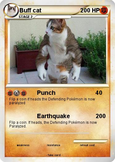 Pokemon Buff cat