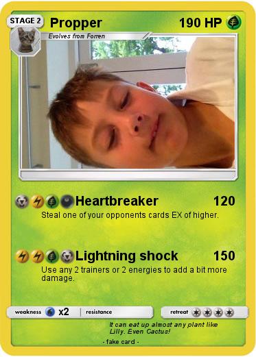 Pokemon Propper
