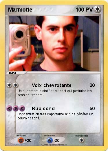 Pokemon Marmotte