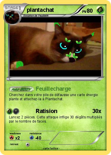 Pokemon plantachat