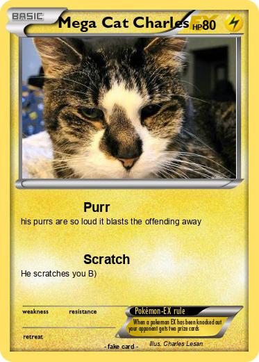 Pokemon Mega Cat Charles