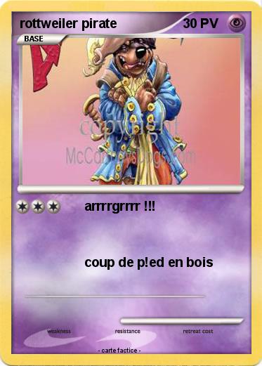 Pokemon rottweiler pirate