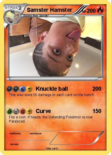 Pokemon Samster Hamster