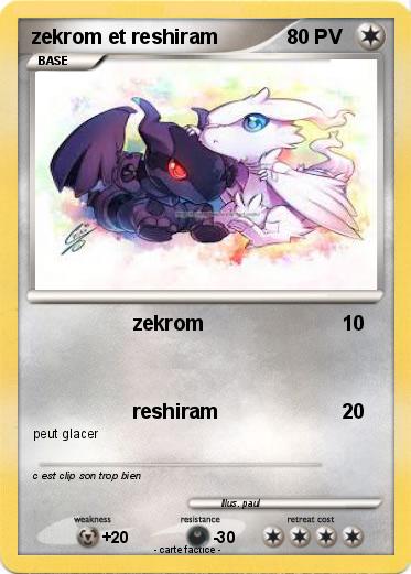 Pokemon zekrom et reshiram