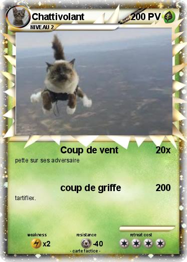 Pokemon Chattivolant