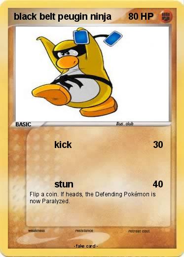 Pokemon black belt peugin ninja