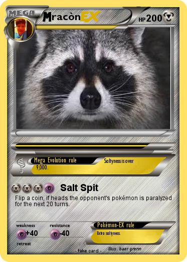 Pokemon racòn
