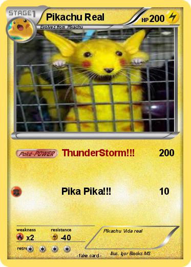 Pokemon Pikachu Real