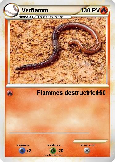 Pokemon Verflamm