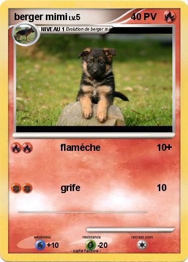 Pokemon berger mimi