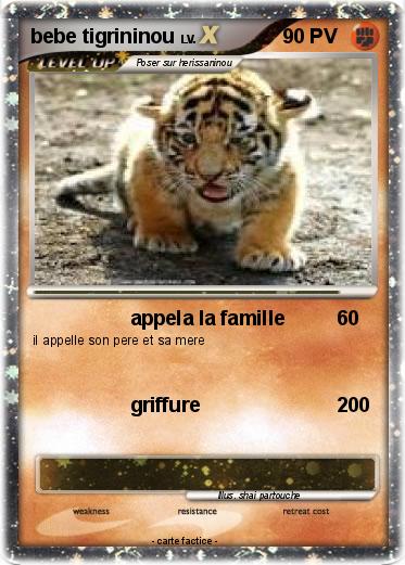 Pokemon bebe tigrininou
