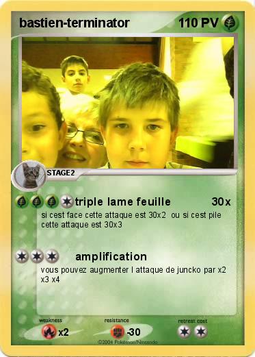 Pokemon bastien-terminator