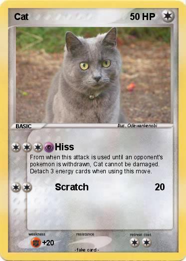 Pokemon Cat