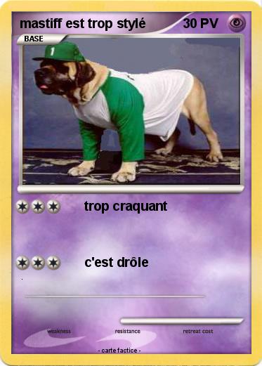 Pokemon mastiff est trop stylé
