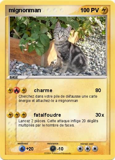 Pokemon mignonman