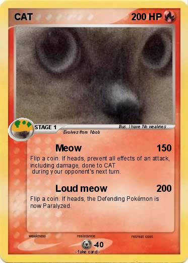 Pokemon CAT