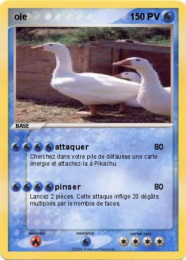 Pokemon oie