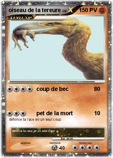 Pokemon oiseau de la tereure